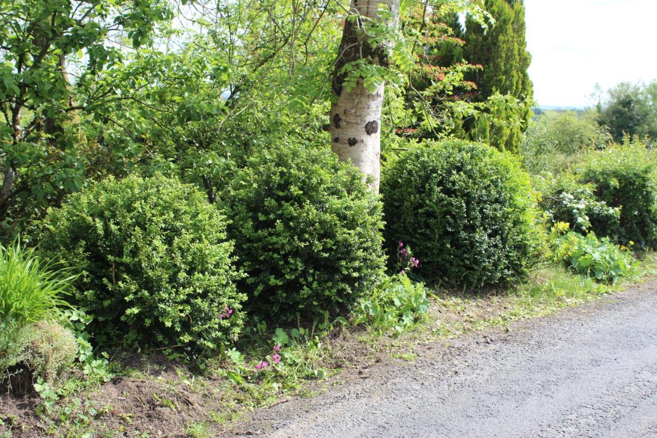 Ketty'S Cottage Rosslea المظهر الخارجي الصورة